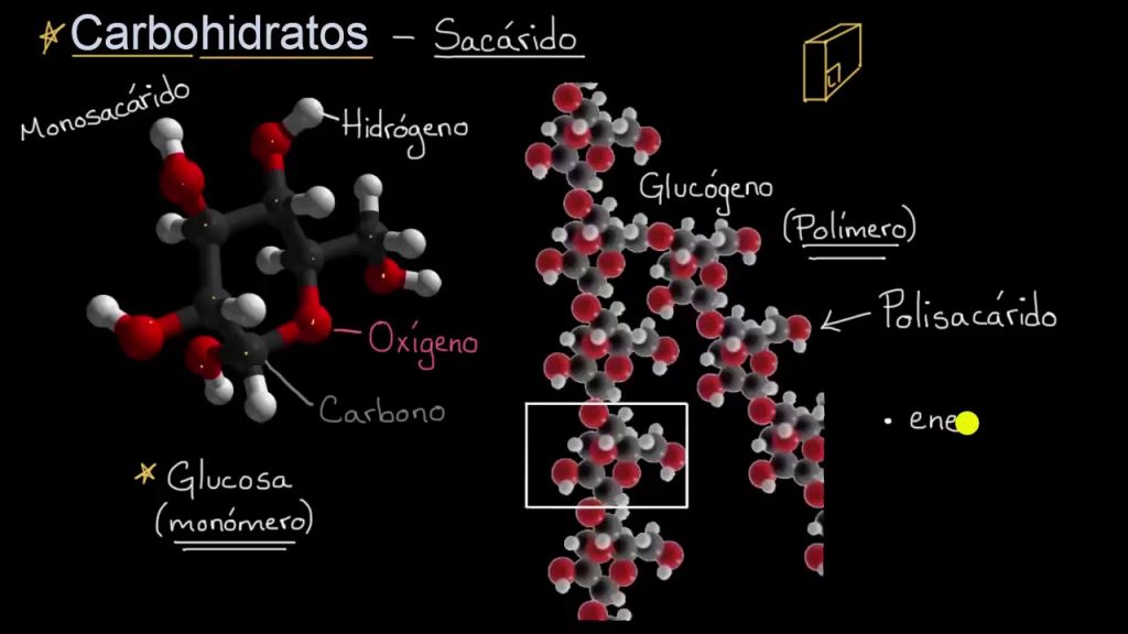 La Mejor Solución Para Estructura Quimica De Los Carbohidratos La Fisica Y Quimica 6543