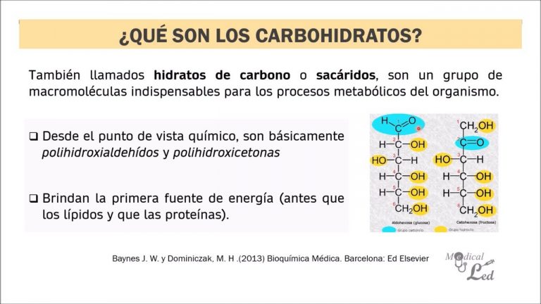 Paso A Paso Sobre Estructura Quimica De Los Carbohidratos La Fisica Y Quimica 3549