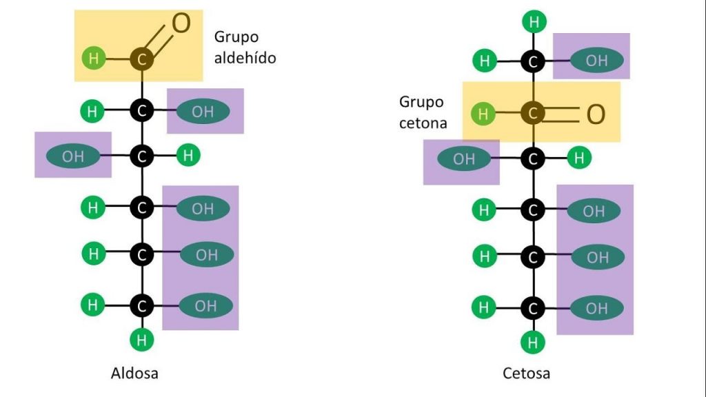 Sea El Primero A Leer Lo Que Los Expertos Afirman Sobre El Grupos 2073