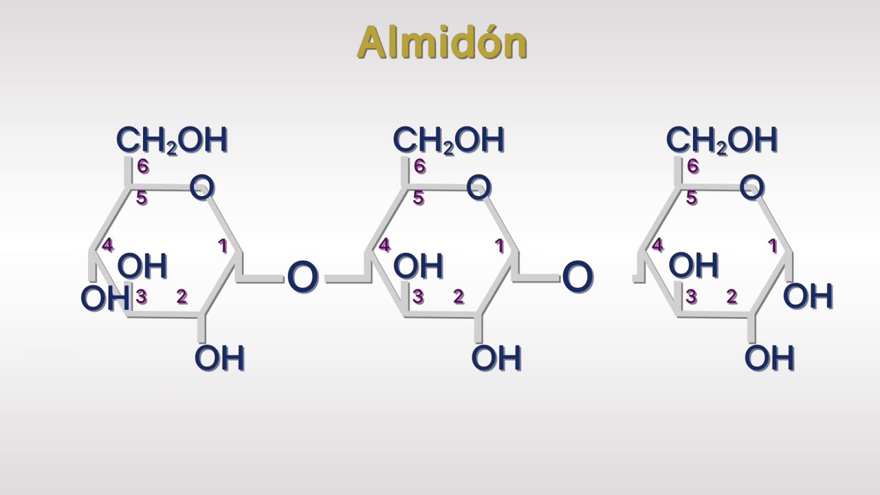 Soluciones Sobre Estructura Quimica De Los Carbohidratos La Fisica Y Quimica 3734